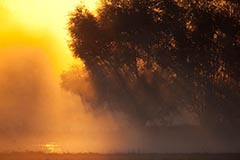 Sonnenaufgang - Zum Vergroessern klicken!